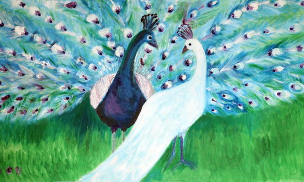Peacocks Oil on Canvas